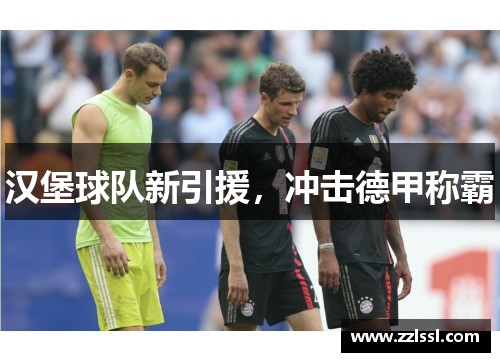 汉堡球队新引援，冲击德甲称霸